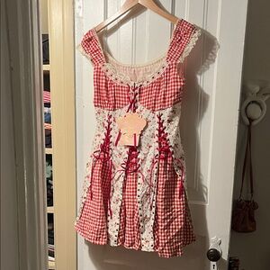 LaceMade Hawthorn Berry Corset Mini Dress